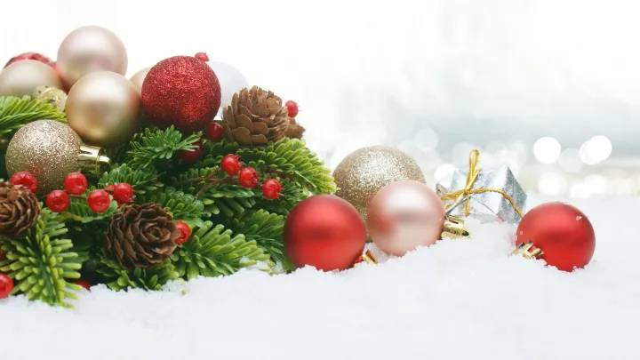 Подарок вместе с ёлкой: новогодние клещи атакуют квартиры жителей России