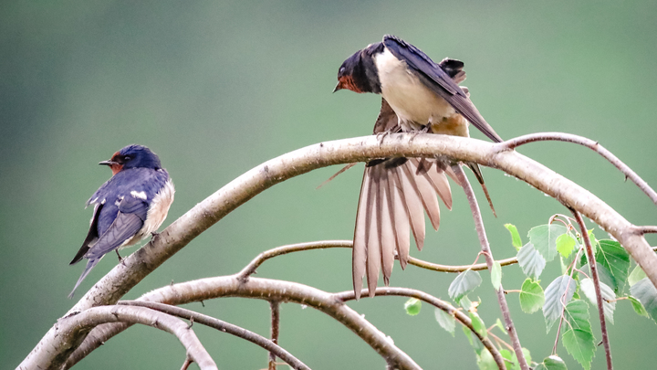 Что нельзя делать 9 мая 2024: приметы и запреты на Глафиру-Горошницу