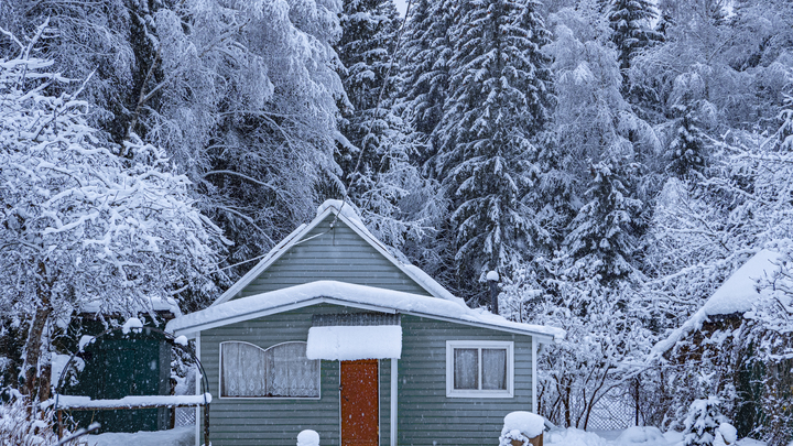 Новые зимние штрафы возмутили дачников и садоводов: Старушек штрафовать?