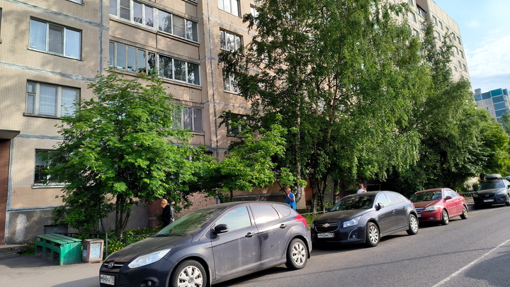 В Новосибирске хулиган разбил несколько автомобилей на Родниках