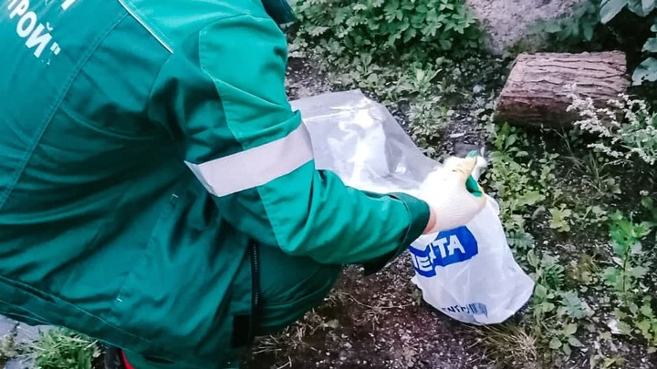 В Петербурге неизвестные выбросили на дорогу 13 кг ртути