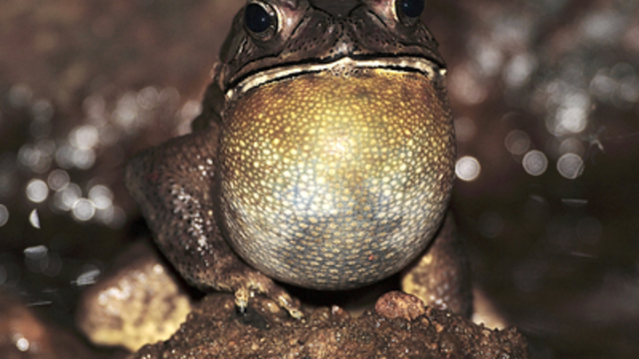 В Подмосковье обнаружили новую опасность: 7 симптомов, после которых нужно бить тревогу