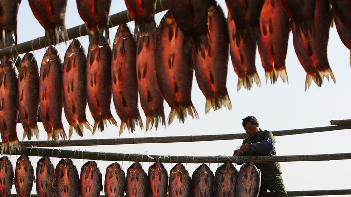 Медик предупредил любителей солёной рыбы о смертельной опасности