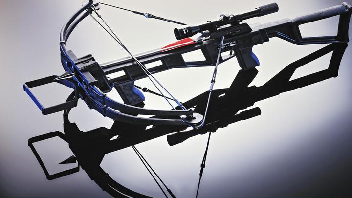 Жительница Воронежа с арбалетом встала на защиту подъезда. От нового лифта