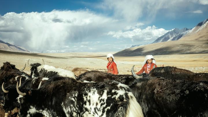 Киргизы хотят мзды? Русские должны заплатить и за русификацию, и за голодомор