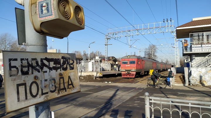 Ребёнок и взрослый погибли под колёсами поезда в Подмосковье
