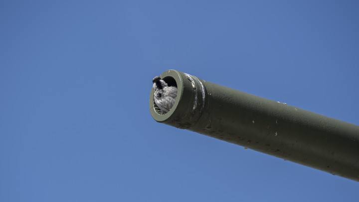 Т-34 - старый танк: Президент Эстонии высказался лишь после демонтажа