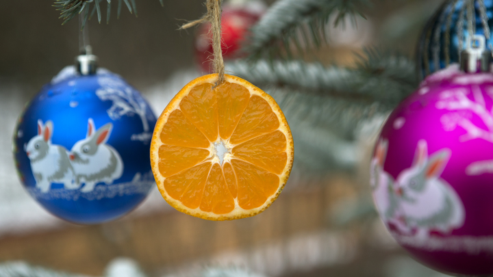 Росатом передал в Энергодар новогодние подарки и 40 тонн цитрусовых