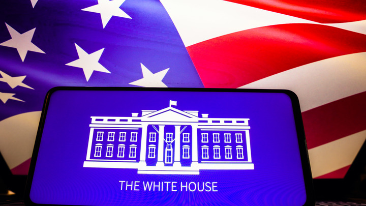 Женский козырь в рукаве США: Ликвидация Трампа. Демократы включают запасной вариант