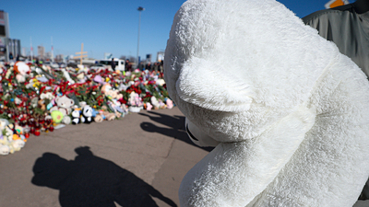 Советник главы МВД Овчинский: Боевиками в “Крокусе” могли управлять через чипы