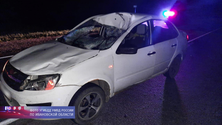 В Ивановской области лось стал виновником ДТП на московской трассе В Ивановской области лось стал виновником ДТП на московской трассе