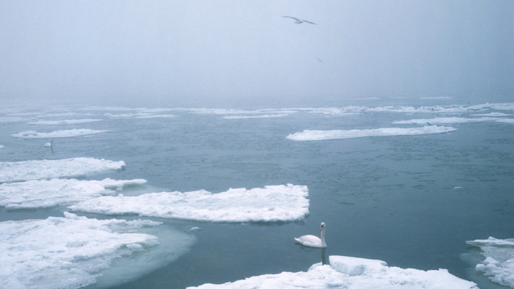 Спасательное судно добрались до застрявшего во льдах в Охотском море танкера