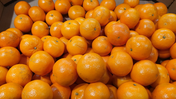 Как выбрать мандарины: советы при покупке главного новогоднего фрукта