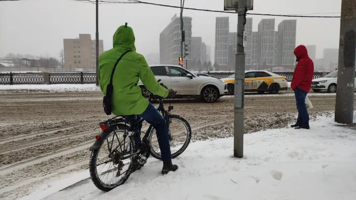 Жителей России атакуют взбешённые аномальным теплом осы