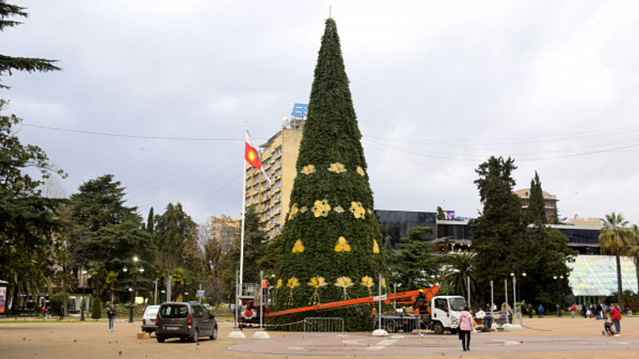 В Сочи наряжают главную 23-метровую новогоднюю ёлку
