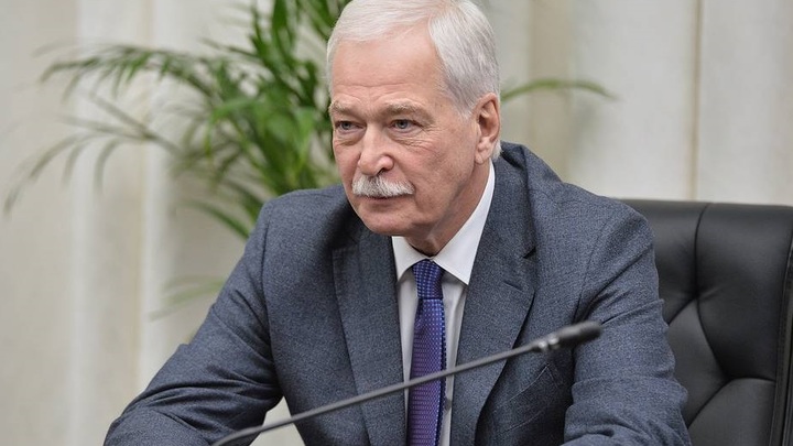 Украина ведёт чрезвычайно опасную игру: Грызлов обвинил Киев в провокации в Донбассе