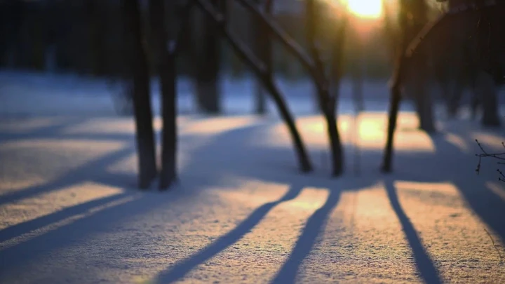 Почти 1 млн куб. метров снега собрали в Москве за несколько дней
