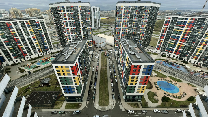 Блокчейн, экология и любовь — новые законы