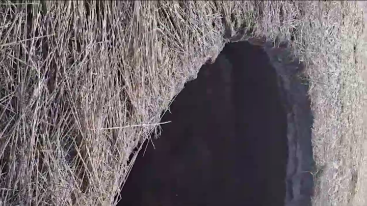 Загадочный провал: в Ростовской области в поле провалилась земля