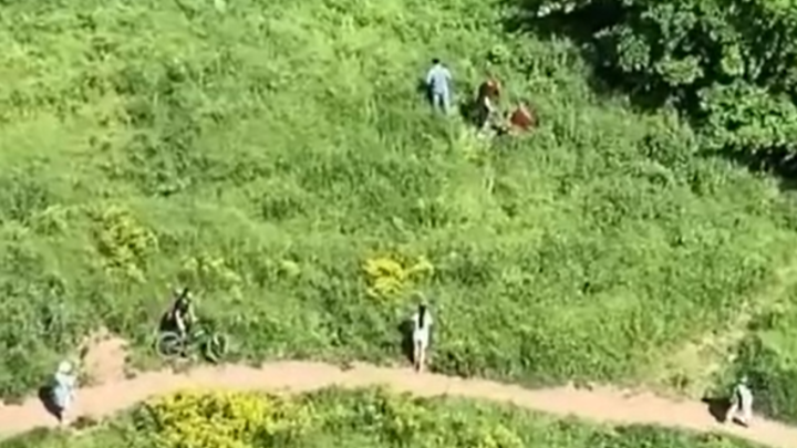 Полиция Краснодара ищет участников массовой драки около ЖК Панорама