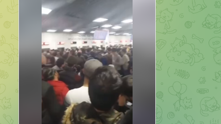 Толпы мигрантов берут чиновников штурмом. Конвейер в Россию не останавливают даже ночью