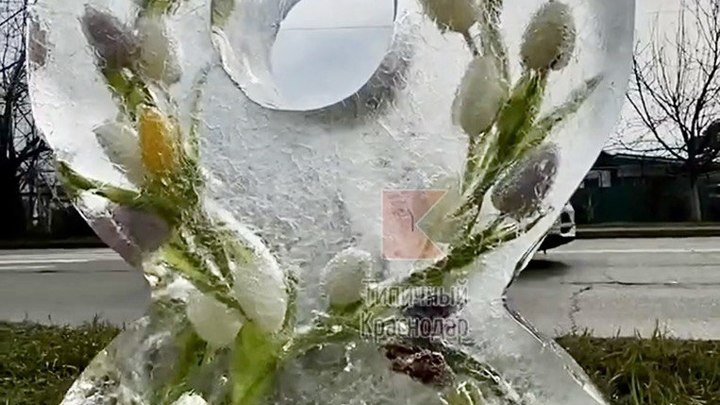 Ледяная восьмёрка с тюльпанами: к весеннему празднику в Краснодаре установили необычную скульптуру