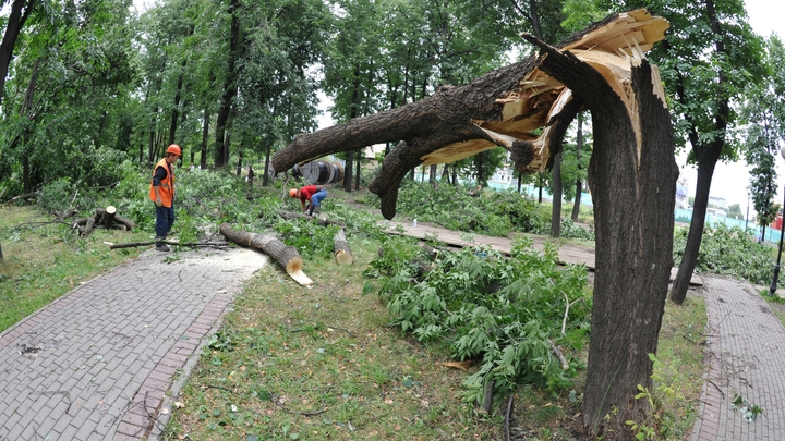 Жителей Ейска и Приморско-Ахтарска предупредили о подъёме воды в реках из-за ураганного ветра