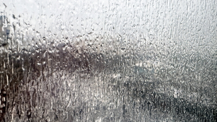 Дождь и ураганный ветер: на Кубани резко испортится погода