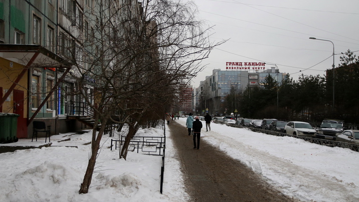 В Прикамье женщину насмерть задавило деревом