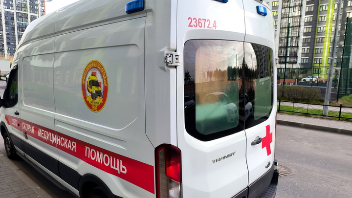 Семилетняя пермячка сломала позвоночник на отдыхе в агродеревне
