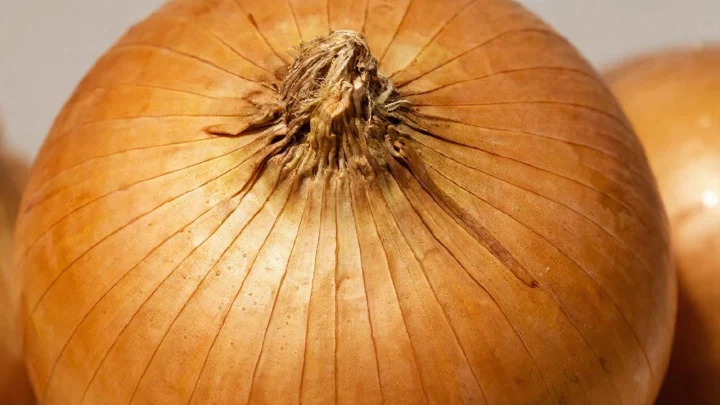 Юрист предупредил, чем грозит обдирание лука в магазине для покраски яиц