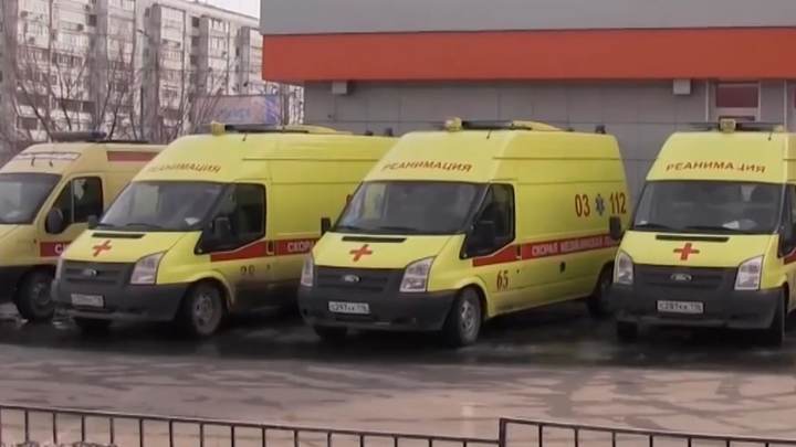 COVID открыл дорогу для свиного гриппа в России: Дети будут болеть особенно тяжело