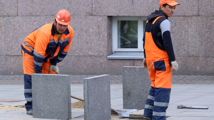 В Новосибирской области мигрантам выдали более 20 тысяч трудовых патентов