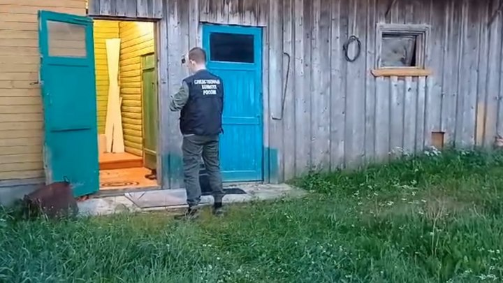 Житель Вельского района признался в очередном жестоком убийстве