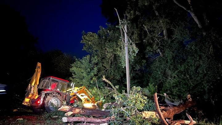 В Крымском районе ураган повалил деревья: временно перекрывались дороги, на ЛЭП – массовые порывы
