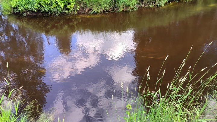 Водолазы ищут тело утонувшего 18-летнего парня в Пинеге