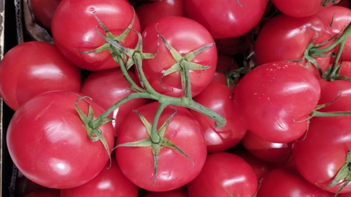 Диетолог Мещерякова назвала пять самых полезных осенних овощей