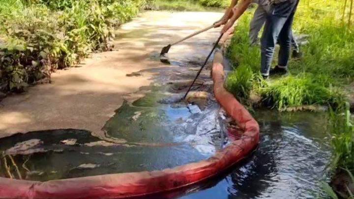 Слитые в речку Лобню химикаты привели к возбуждению уголовного дела