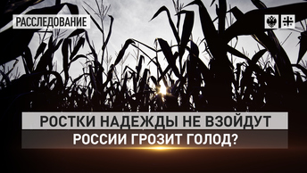 Ростки надежды не взойдут. России грозит голод?