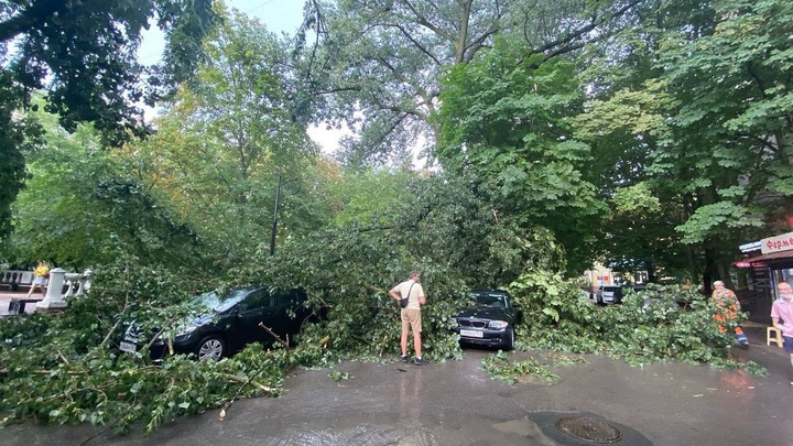 В центре Ростова дерево смяло припаркованные авто