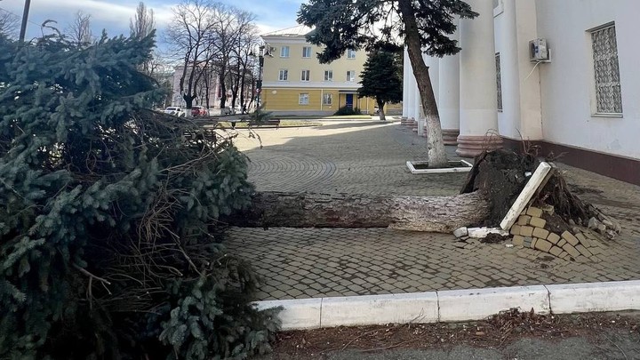 Поваленные деревья и разбитые авто: из-за ураганного ветра в Майкопе - режим повышенной готовности