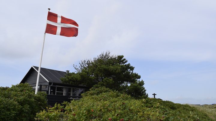 DR: половина украинских беженцев не вернется из Дании после окончания СВО