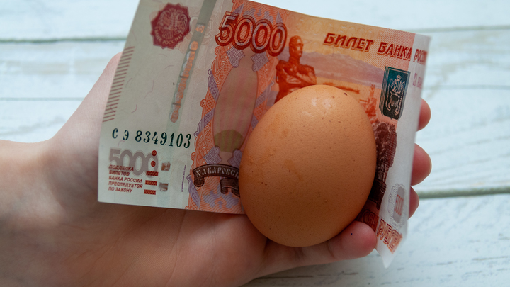 Роковые яйца подвели Набиуллину: Ошибка главы ЦБ была намеренной или случайной?