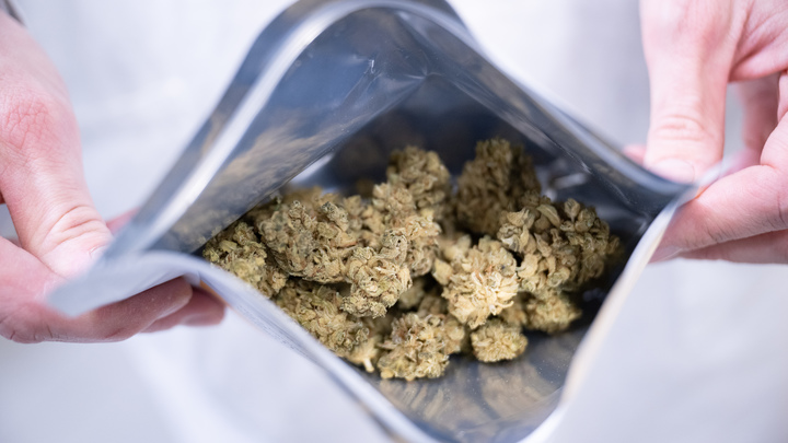 Запорожские полицейские изъяли свыше двух килограммов марихуаны у местной жительницы