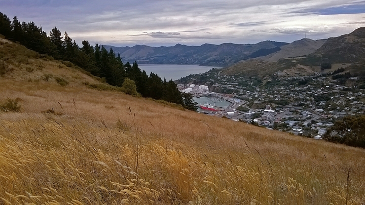 Повышение пошлины на импорт: Новая Зеландия объявила о значительном ответе России