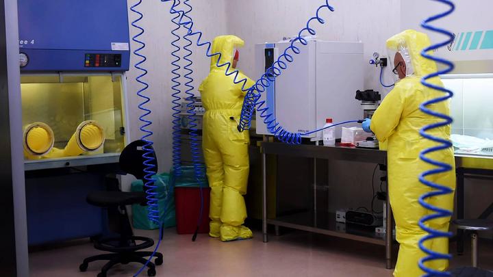 Эбола попадёт в Россию? Болезнь можно распознать