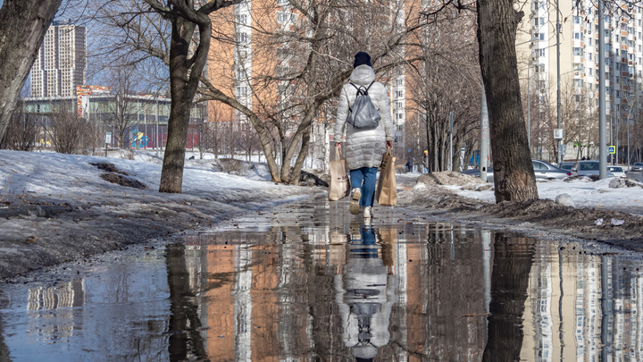 Метеорологи предсказали Москве мартовскую погоду