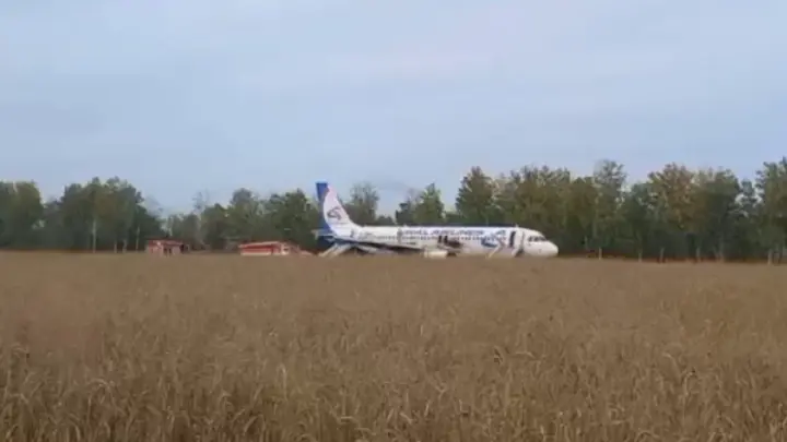 Два года назад в пшеничном поле под Новосибирском аварийно сел пассажирский самолёт
