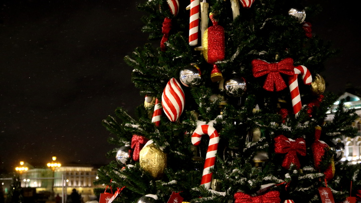 Стало известно, когда в Петербурге откроются ёлочные базары