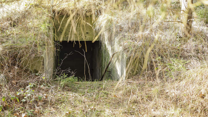 Бердянские полицейские обнаружили в кустах выстрелы для гранатомета